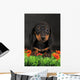 Dachshund Wall Decal