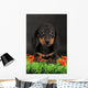 Dachshund Wall Decal