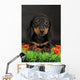 Dachshund Wall Decal