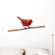 Bright Red Male Cardinal Wall Decal