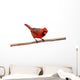 Bright Red Male Cardinal Wall Decal