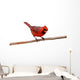 Bright Red Male Cardinal Wall Decal