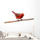 Bright Red Male Cardinal Wall Decal
