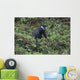 Calligraph Eyed Minnow Wall Decal