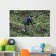 Calligraph Eyed Minnow Wall Decal