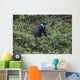 Calligraph Eyed Minnow Wall Decal