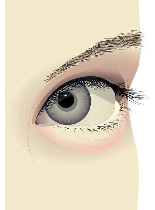Eye Wall Decal