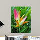 Flower Named Birds Paradise Wall Decal