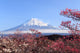 Mt Fuji with Japanese Wall Decal