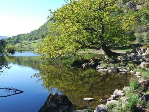 Rydal Water Spring Wall Decal