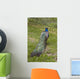 Male Peacock Wall Decal
