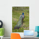 Male Peacock Wall Decal