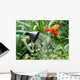 Arrosage Du Jardin Wall Decal Design 2