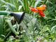 Arrosage Du Jardin Wall Decal Design 2