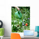 Arrosage Du Jardin Wall Decal Design 1