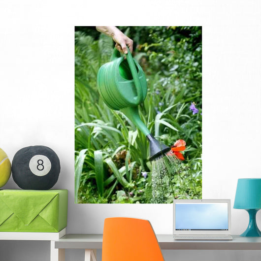 Arrosage Du Jardin Wall Decal Design 1