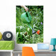 Arrosage Du Jardin Wall Decal Design 1