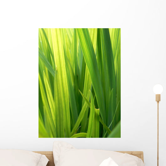 Grass Wall Decal Design 1