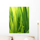 Grass Wall Decal Design 1