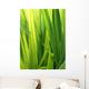 Grass Wall Decal Design 1