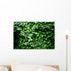 Texture Feuilles Lierre Wall Decal