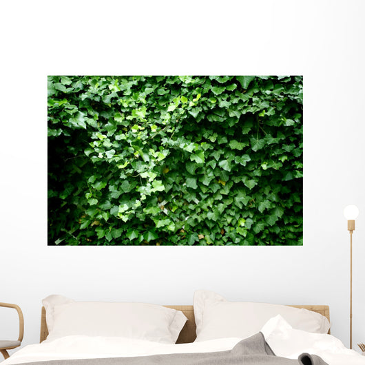 Texture Feuilles Lierre Wall Decal