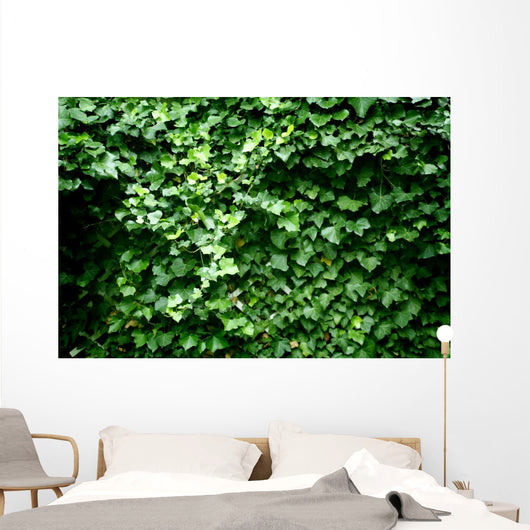 Texture Feuilles Lierre Wall Decal