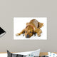 Dog Lying down Wall Decal