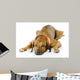 Dog Lying down Wall Decal