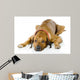 Dog Lying down Wall Decal