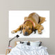 Dog Lying down Wall Decal