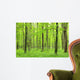 green forest Wall Mural