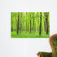green forest Wall Mural