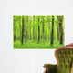 green forest Wall Mural