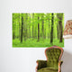 green forest Wall Mural
