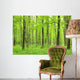 green forest Wall Mural