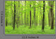green forest Wall Mural