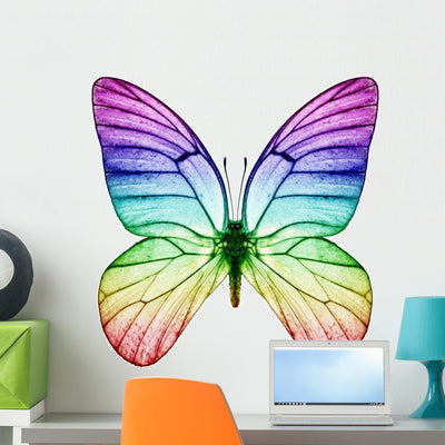 Butterfly Rainbow Colors Wall Decal shown on a wall