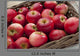 Loose Red Apples Wicker Wall Decal