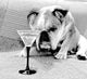 To Drink or Not Wall Decal
