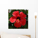 Red Hibiscus Wall Decal