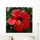 Red Hibiscus Wall Decal