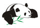 Panda with Bamboo Wall Decal