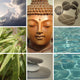 Zen Buddha Collage Wall Decal