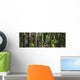Australian 07 0675 Wall Decal