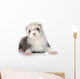 Ferret Puppy Wall Decal