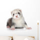 Ferret Puppy Wall Decal