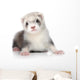 Ferret Puppy Wall Decal