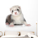 Ferret Puppy Wall Decal