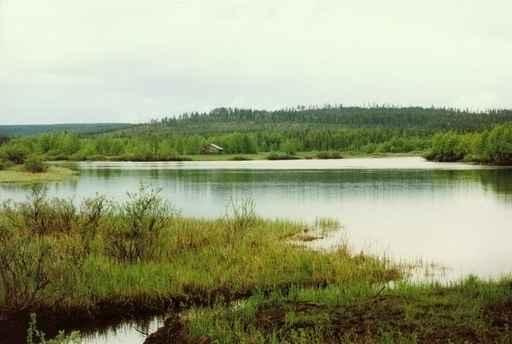 Seelandschaft Lake Scape Wall Decal